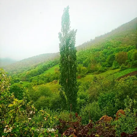 Vajat Kraljevica 度假居 *