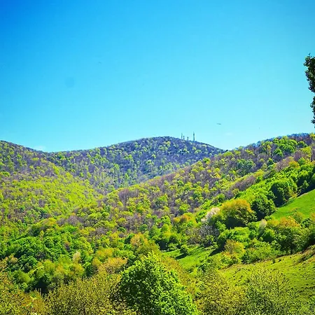 Vajat Kraljevica * 鲁德尼克